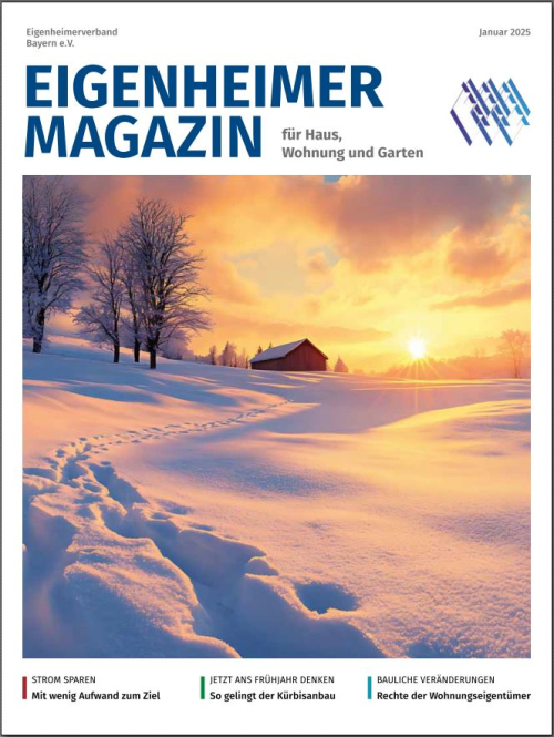 Eigenheimer Magazin - Januar