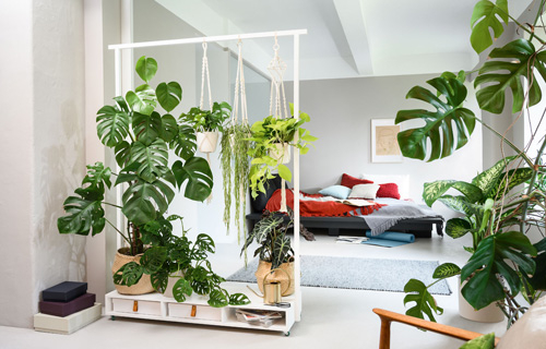 Raumteiler mit Grünpflanzen