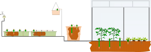 Tropfblumat-System für die Bewässerung