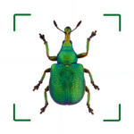 BUND Insektenkosmos-Logo